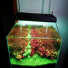 Chihiros RGB VIVID 2 Black de 60 - 90 cm - Mes petits poissons