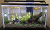 Nicrew 72-94cm Led Aquarium - Mes petits poissons