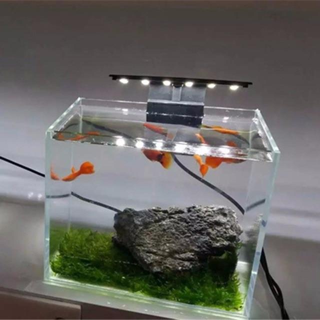 Rampe LED pour nano aquarium - Mes petits poissons