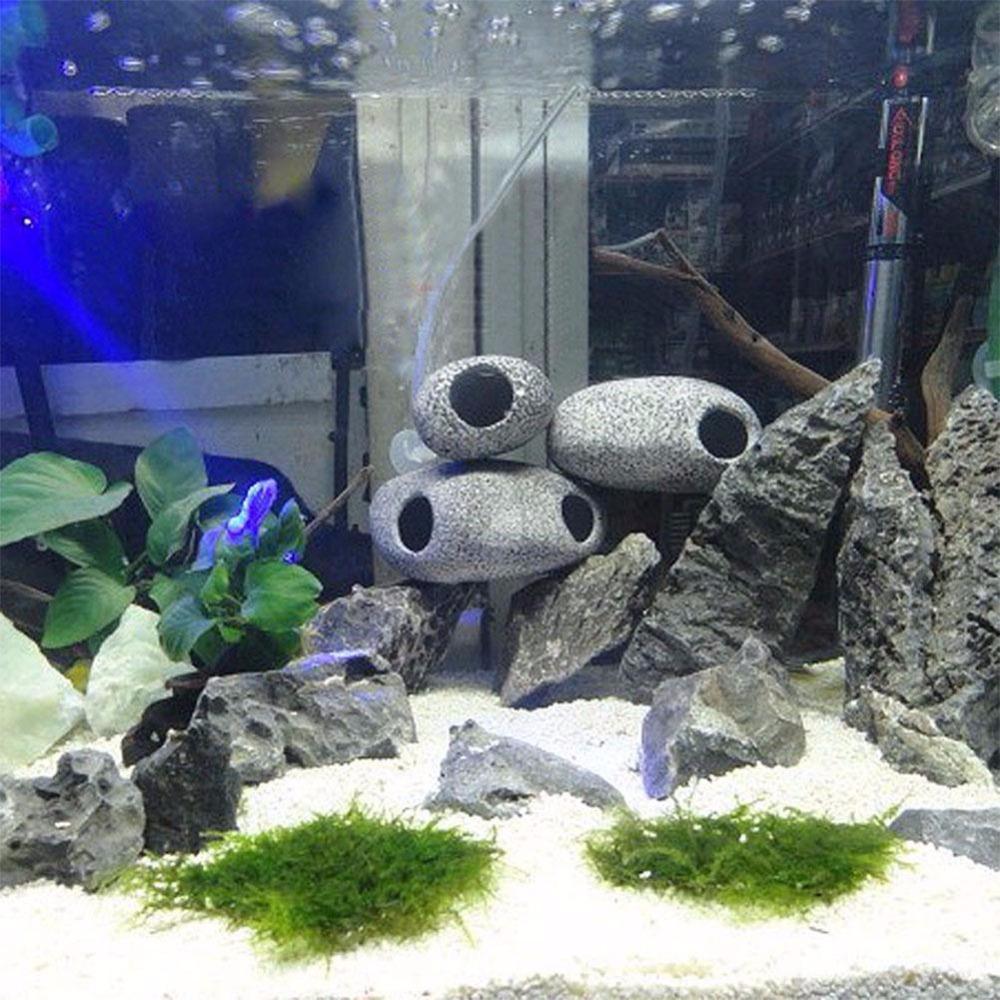 Pierre en céramique Aquarium - Mes petits poissons